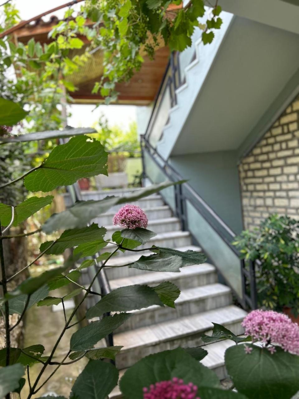 Guesthouse Katerina Berat Exteriér fotografie