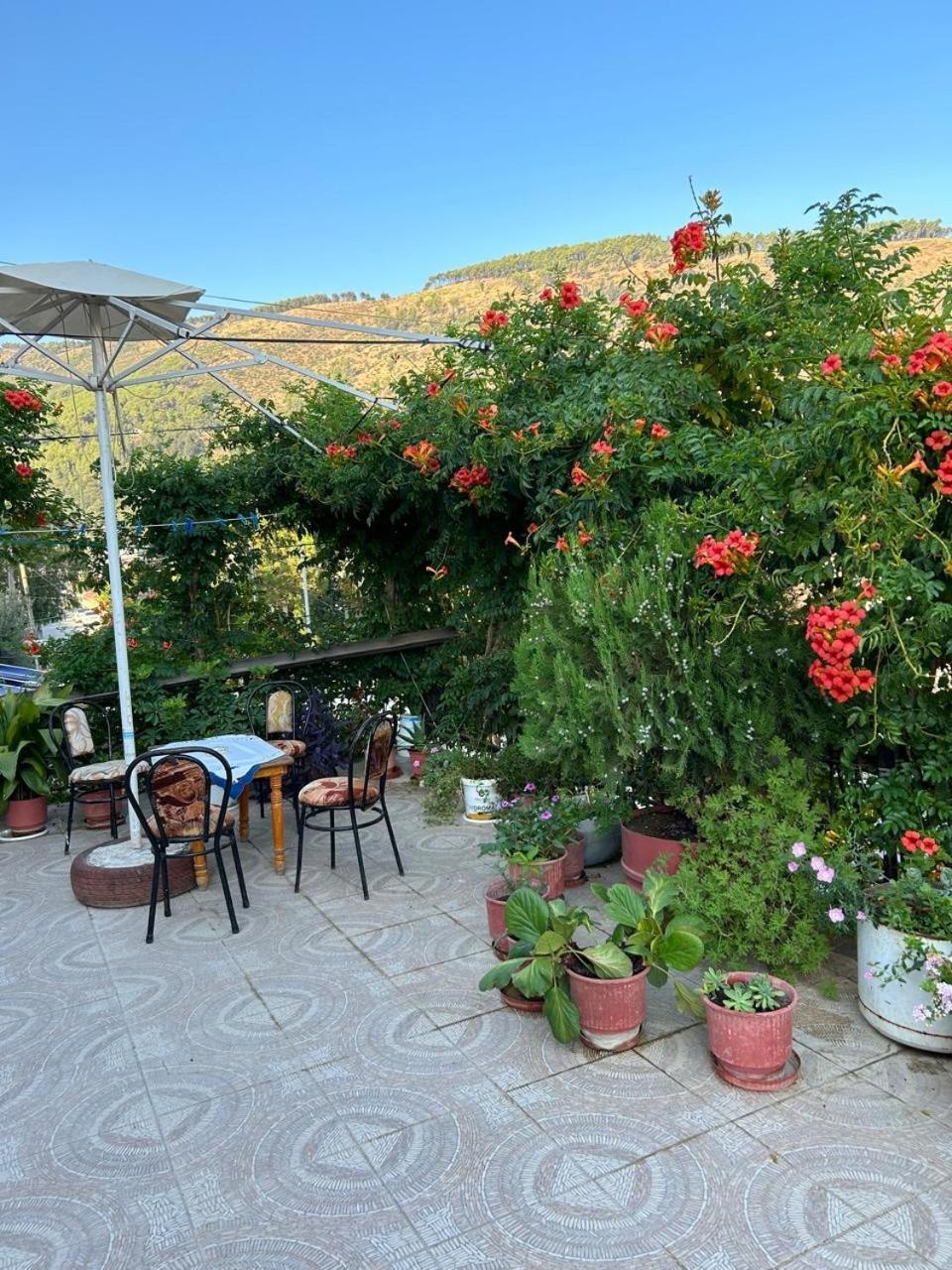Guesthouse Katerina Berat Exteriér fotografie