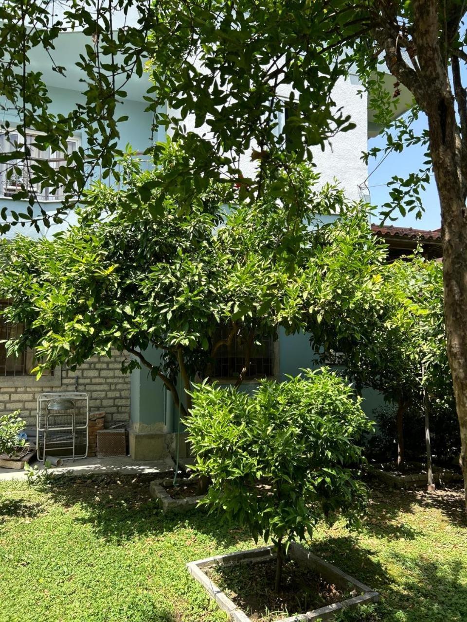 Guesthouse Katerina Berat Exteriér fotografie